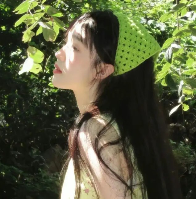 花园蜘蛛